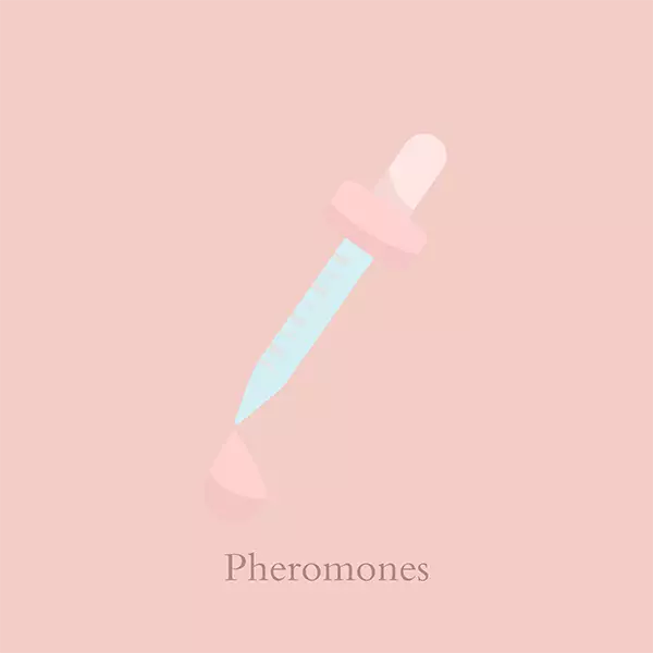 Pheromones